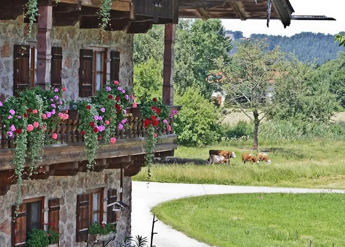 Baumgartner Nagerhof | Chiemgau Karte 그라사우